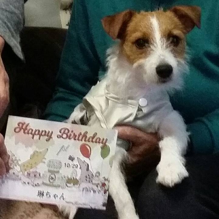 3d310bca 1d0b 46a2 be97 f63f6f1832e5 1511862835829