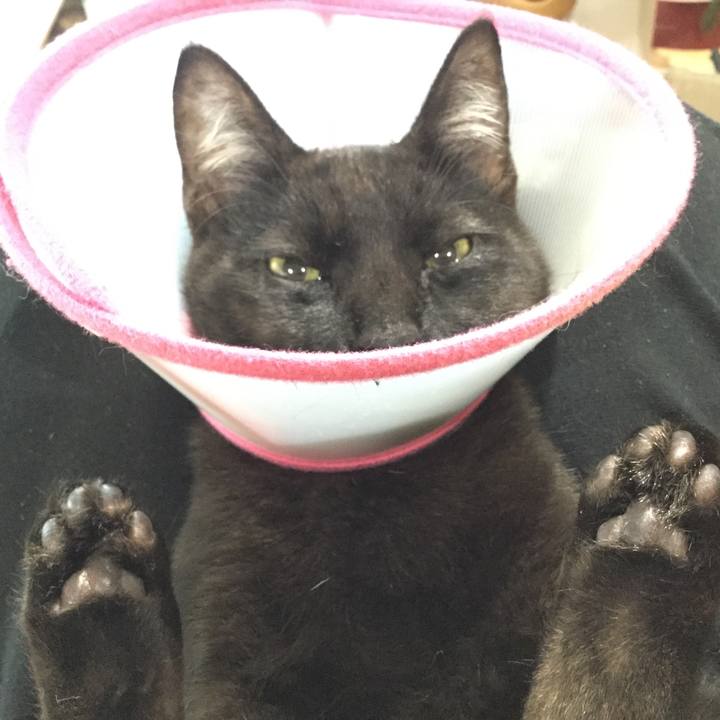 3d3126f7 d00f 42ef 88af aed6cf03ac61 1512431170350