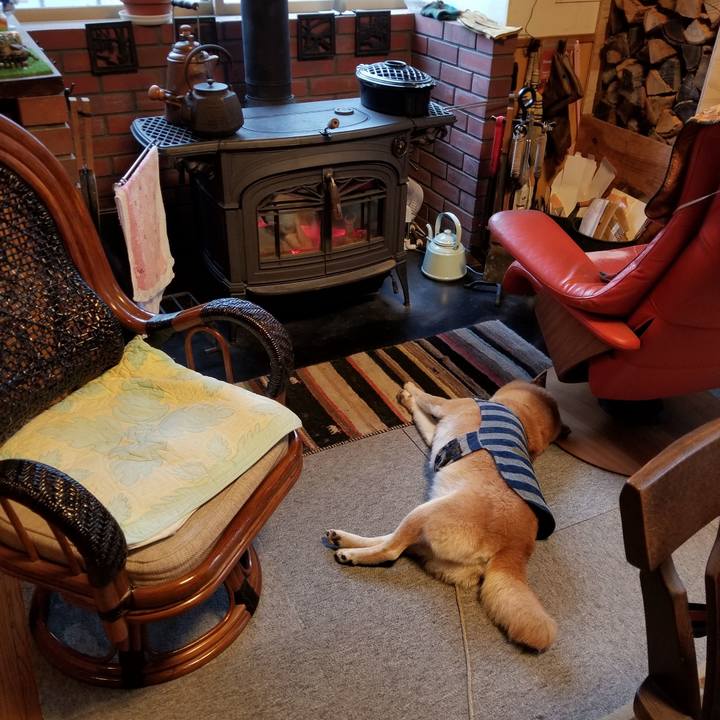 3d312dd0 4928 429f b2ed 88325139a0b3 1578702291246