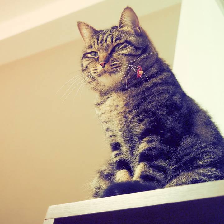 3d313ca8 ae9c 4554 98b8 dd089f12d03e 1607605776606