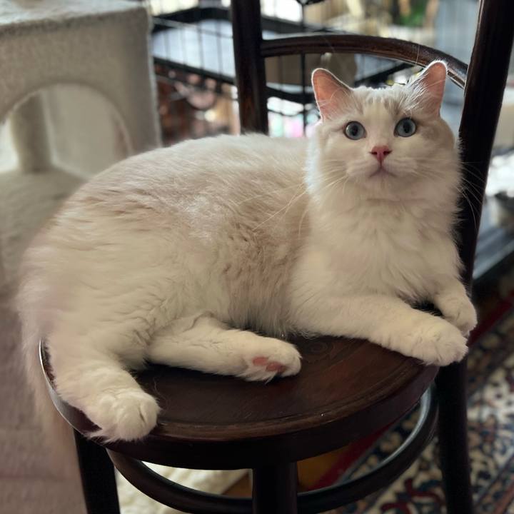 3d314fa8 fddf 40dc bb4e cb22acd4b3a8 1689217258678