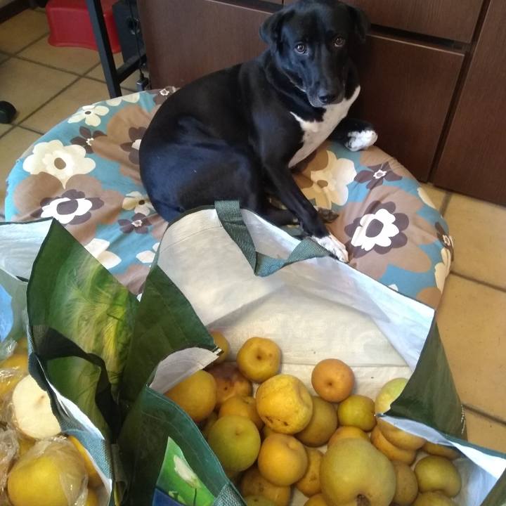 3d317923 c8c8 43cf 8538 af21c4cc1d8a 1597474646672