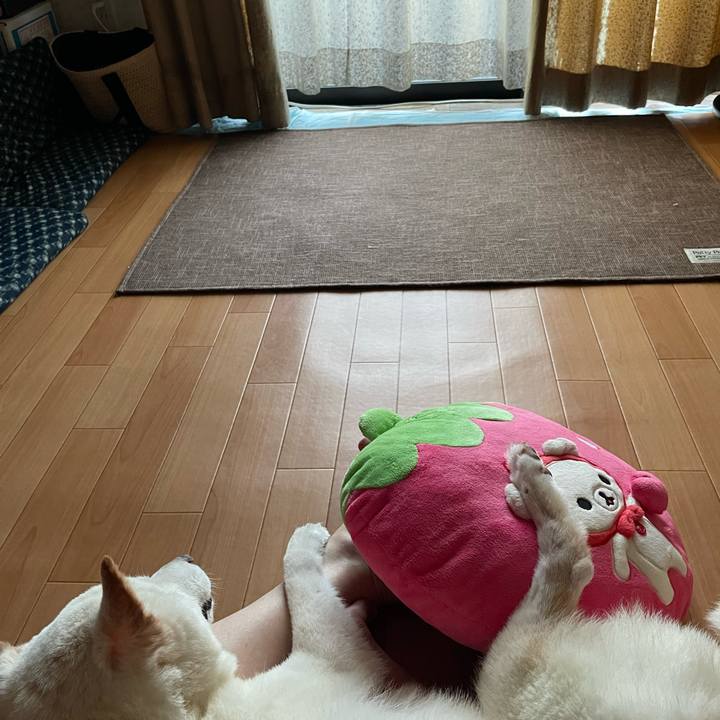 3d317fa5 a496 431b bef3 979e7e92144f 1662240237395