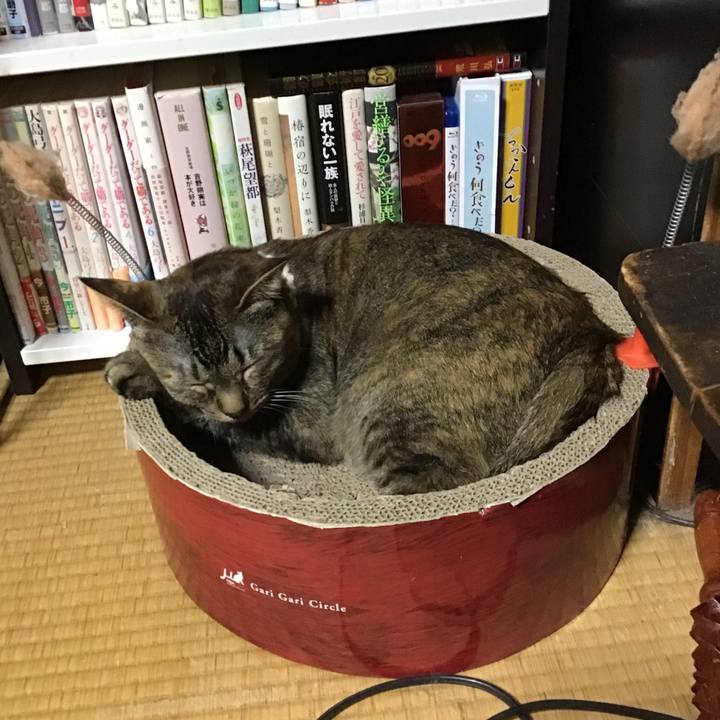 3d31be80 8e16 453b 9d54 ea32515249a2 1652349843800