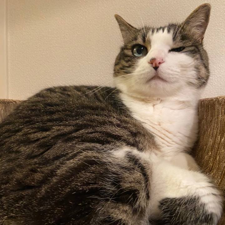 3d3228ac 6238 4def afad 86a63a955e3a 1653052745611