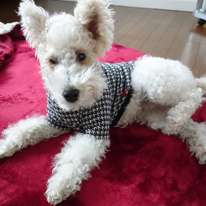 3d322e88 00bd 4265 9514 d5ab3d3aa542 1517551162427