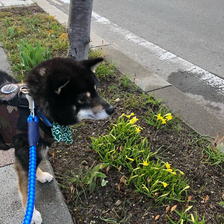 3d32a3aa b0ea 48b7 b0f5 fa1bb669bc70 1524109296251