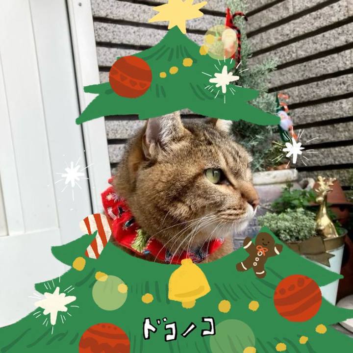 3d32ac2c f7fa 4291 b3cc 0331f9d0632f 1761747670643