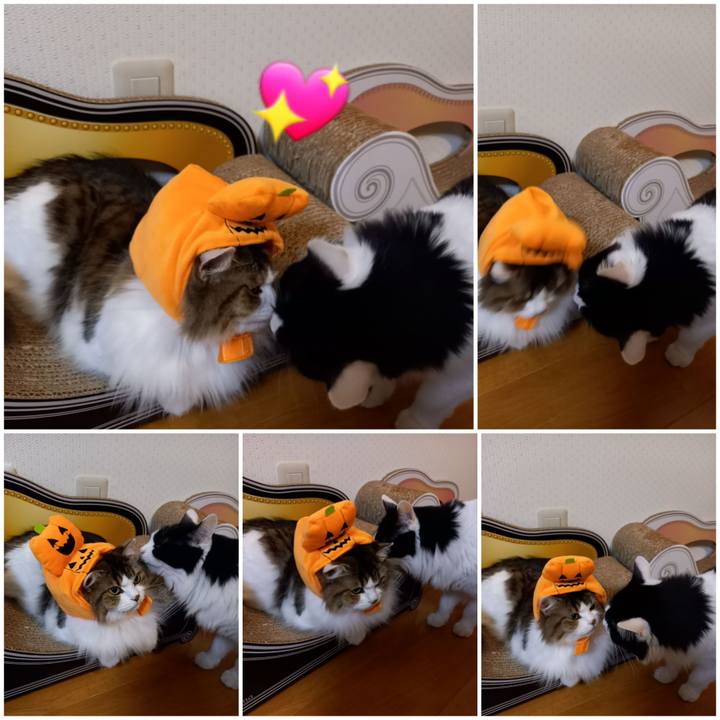 3d32b6cf 974e 44bc 83db 976c9744674e 1604109700725