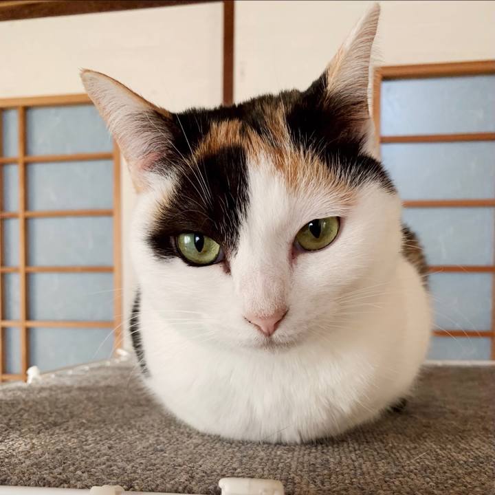 3d32c136 2629 4a45 96f2 5928615bf804 1549160285868