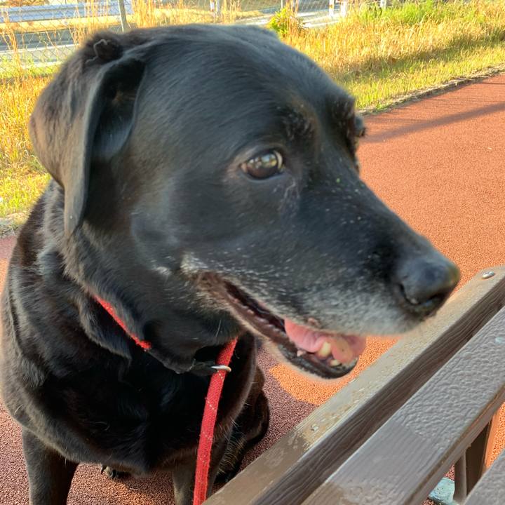 3d32f9ea 4c89 4dd9 a9f5 bd4c52c54762 1727935084527