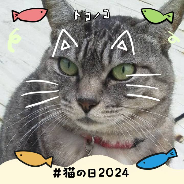 3d3318bc bcbc 4f40 8265 9cd18b8c6bf1 1708585016749