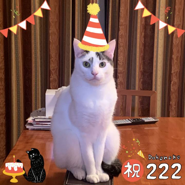 3d335e82 52ec 4c05 82e8 41ea08c85be6 1645502903775