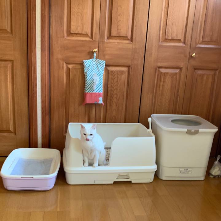 3d336b31 43e9 479b 8b2d 26da2746c3d1 1652821757548