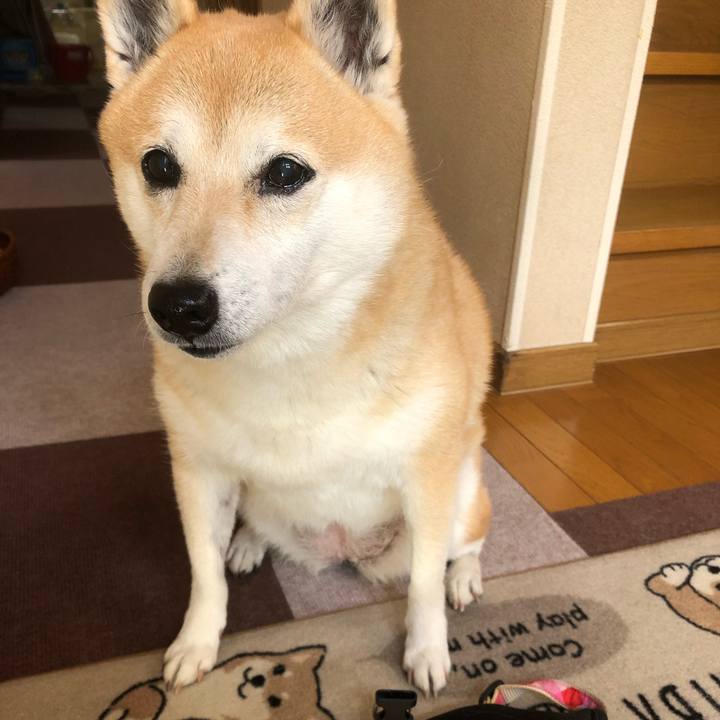 3d338572 b528 429d 97da 4e1d2b6ea460 1607523933075