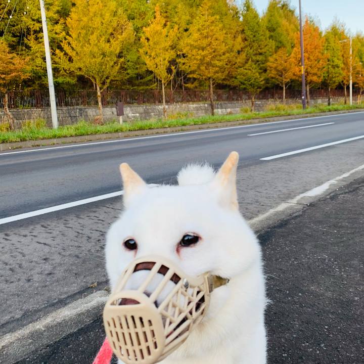 3d33c494 4734 4c70 bf7c 14fa0cd5762f 1603753415929