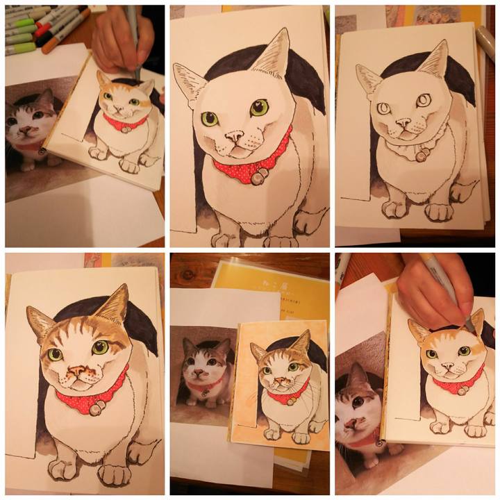 3d33c4d7 7dad 4d4c 8852 17b42618e695 1534846810778