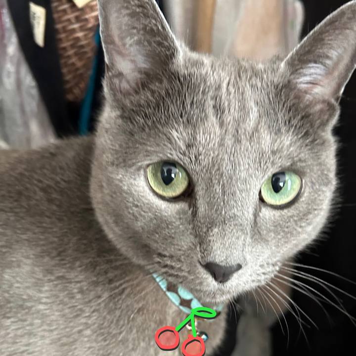 3d33e559 bde8 4284 b690 2cccecb39b8a 1682639007423