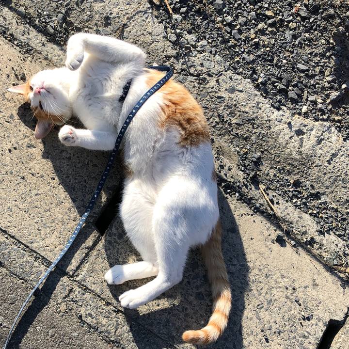 3d3424bd 65d3 4bd8 8ccd 848a7da63fe2 1542530647703