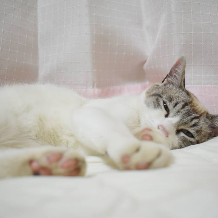 3d3442f9 d0e8 4b4c 885c 750fd69d987c 1527336793728