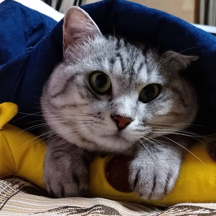 3d3463c6 5b6a 477b a57e 26527f61deaf 1605775774300