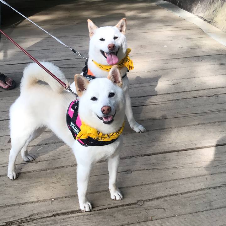 3d347701 6130 477a b531 6f6a2c668769 1558876695998