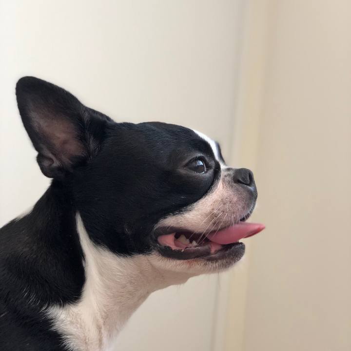 3d348ada 3fa9 4e17 ae6b 00233239de66 1538371854423