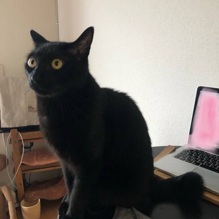 3d349eaf 6c6c 4b77 8c40 27307603bbcc 1591432150079