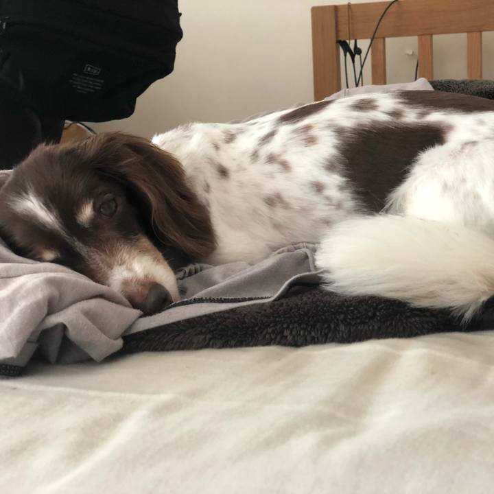 3d34c746 f974 4f8f 8012 a3ed3b6e427d 1566019172933