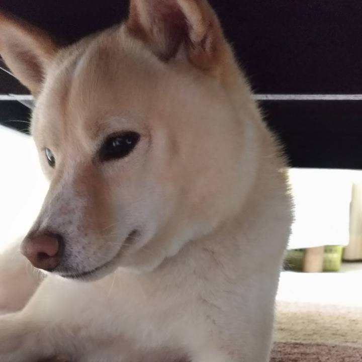 3d352383 783b 4a78 8962 1d9d8154cf7d 1553767079124