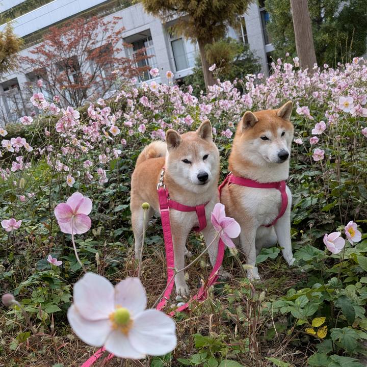 3d353f5f e504 4ca5 974c 5e09c5745e17 1762577216924