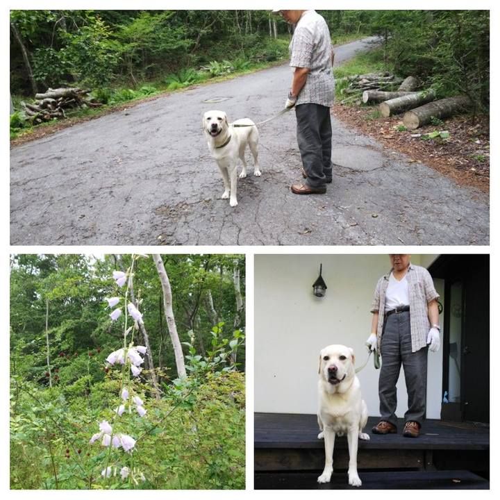 3d35426a d977 4165 acc1 fb540079db36 1534381529016