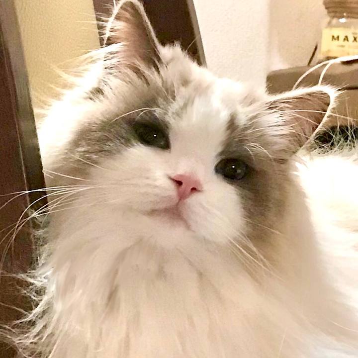 3d35b08e 3fd7 431e 9d7f 48e976f76e83 1614680348895