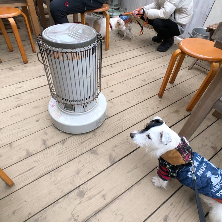 3d35bb25 4002 4aba a745 40ff79d2d6fe 1546756078452