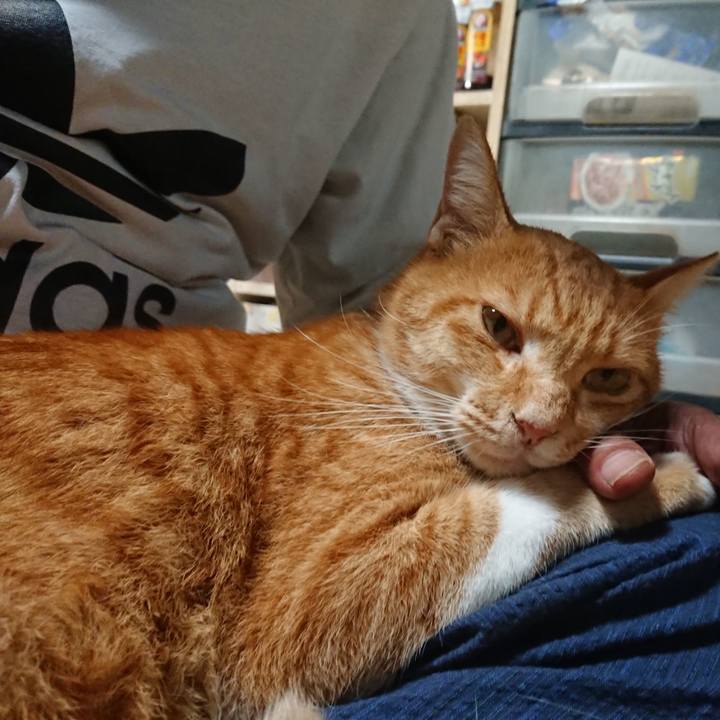 3d361034 9185 4d08 a6fe ddb5a7ea222d 1599985587669