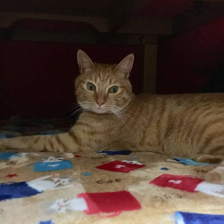 3d363a53 20bb 4b3e 87d2 933f9df03cda 1541238523880