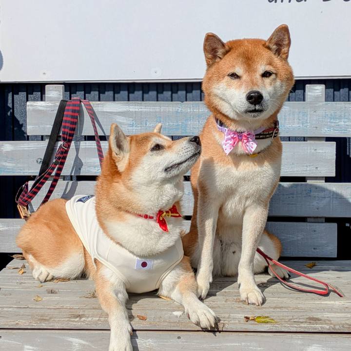 3d3640c9 28d0 4e69 877f 3b0135b1de12 1762588731402