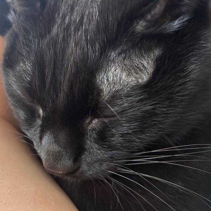 3d365e97 bf06 4151 8918 cc4d3bb4b4eb 1772836405640