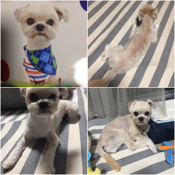 3d368245 8903 4496 a52e 281ab615c99a 1524656451618