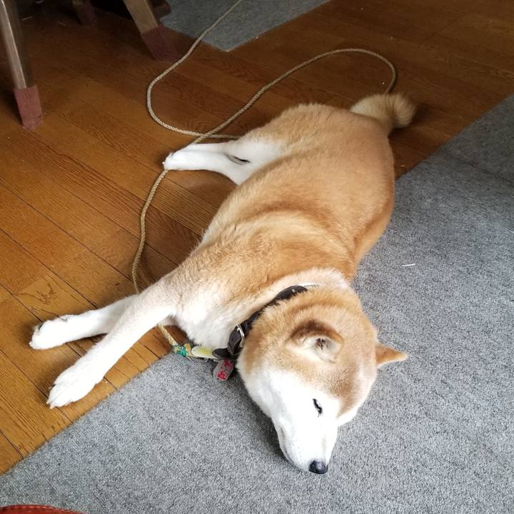 3d3688e6 0848 448f 85da 87d64bb74488 1693370034259