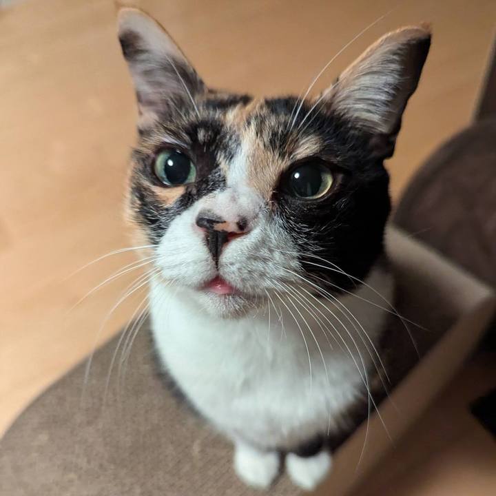 3d36cbde 4efa 4ca1 a6bb 52e9cab2e913 1733390556895