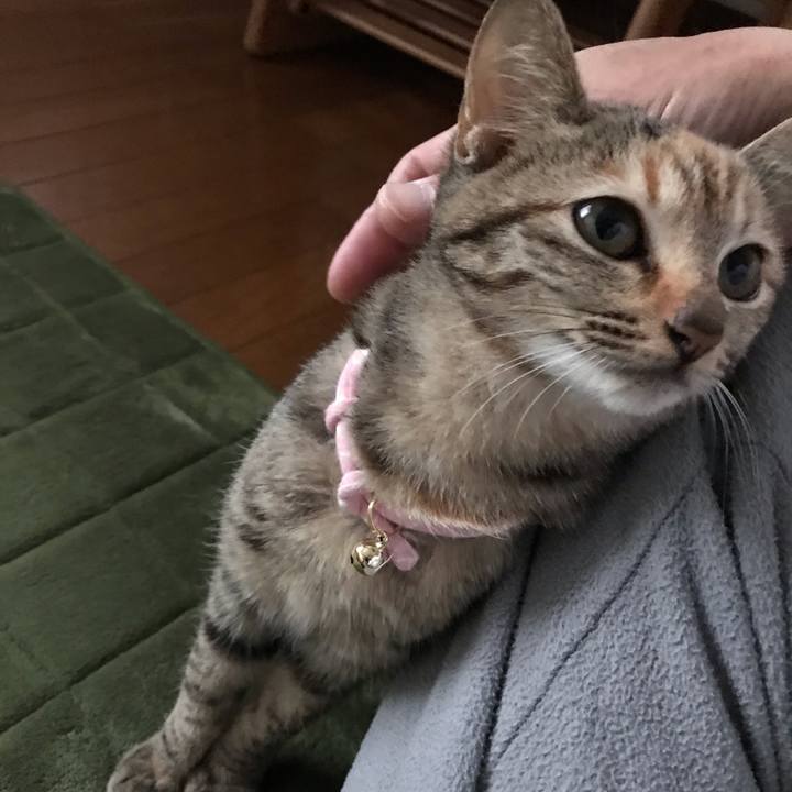 3d36ea7b 95d9 4cb3 b205 11ac5afbf22a 1544146635223