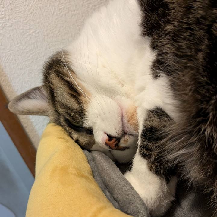 3d37012b 88bd 4921 a71c 957ccd7e26a4 1735815835704