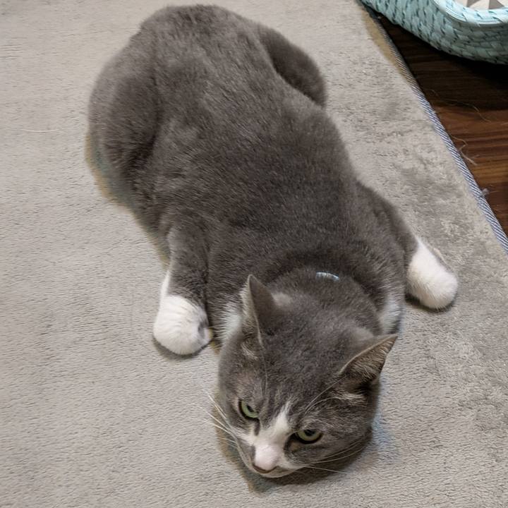 3d376966 027a 4ccb befe 0cdc2a43e917 1743214155025