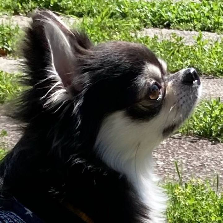 3d379037 430f 4562 a83e 1b83fff47d10 1651324818642