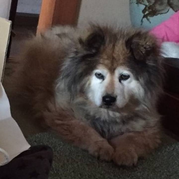 3d37fabd 3852 4d02 8ee1 e516a984faf3 1631468910371