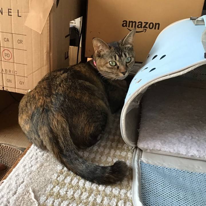 3d383772 88b8 4645 89d7 159b32aa4a9f 1605780422267