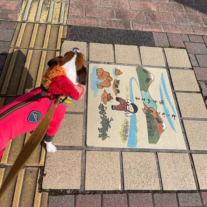 3d3849c2 74c8 4d34 b5c9 307e8659f732 1646545258141