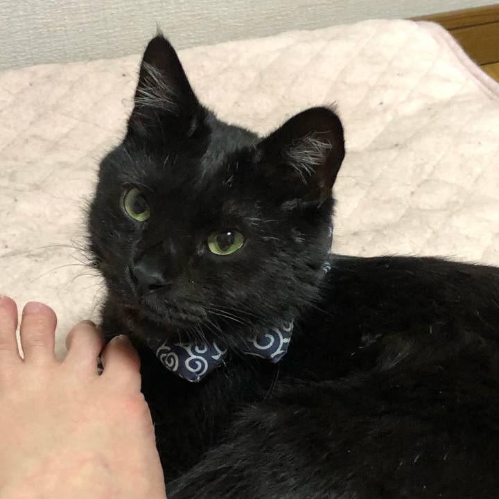 3d38c5fb 2215 4d09 bcca bda1a96a360d 1559808482422