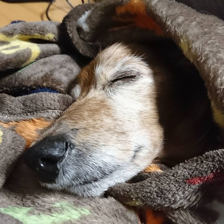 3d3904f9 c1a1 446a 8df1 51cfa9944919 1513875000319